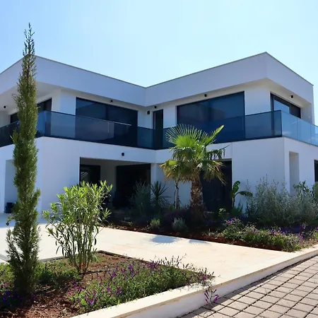 Aves Villa